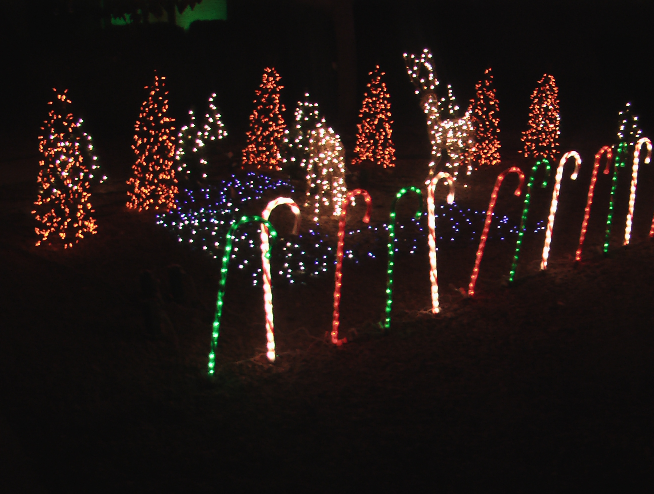 Candy Canes and Mini-Tree forest with deer