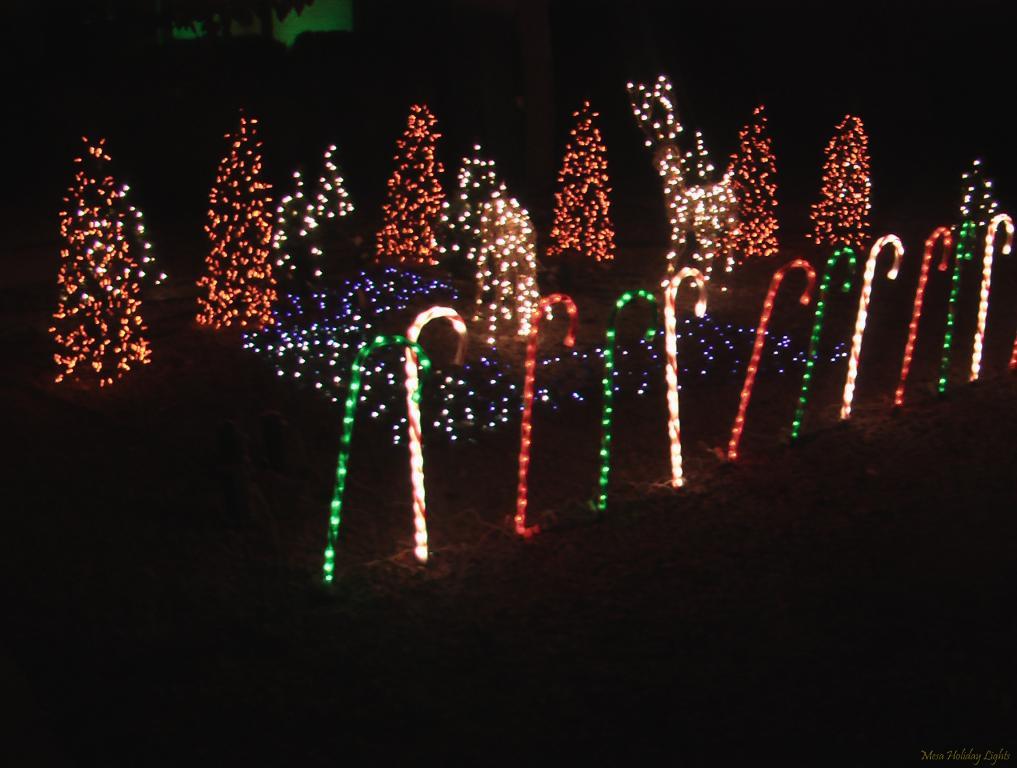 Candy Canes and Mini-Tree forest with deer