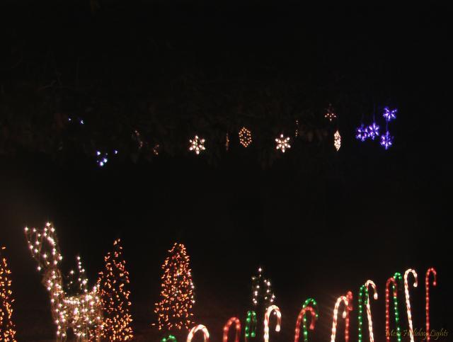 Snowflakes over forest