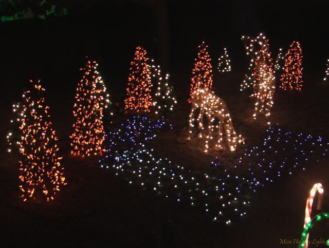 Deer, pond, and mini-tree forest