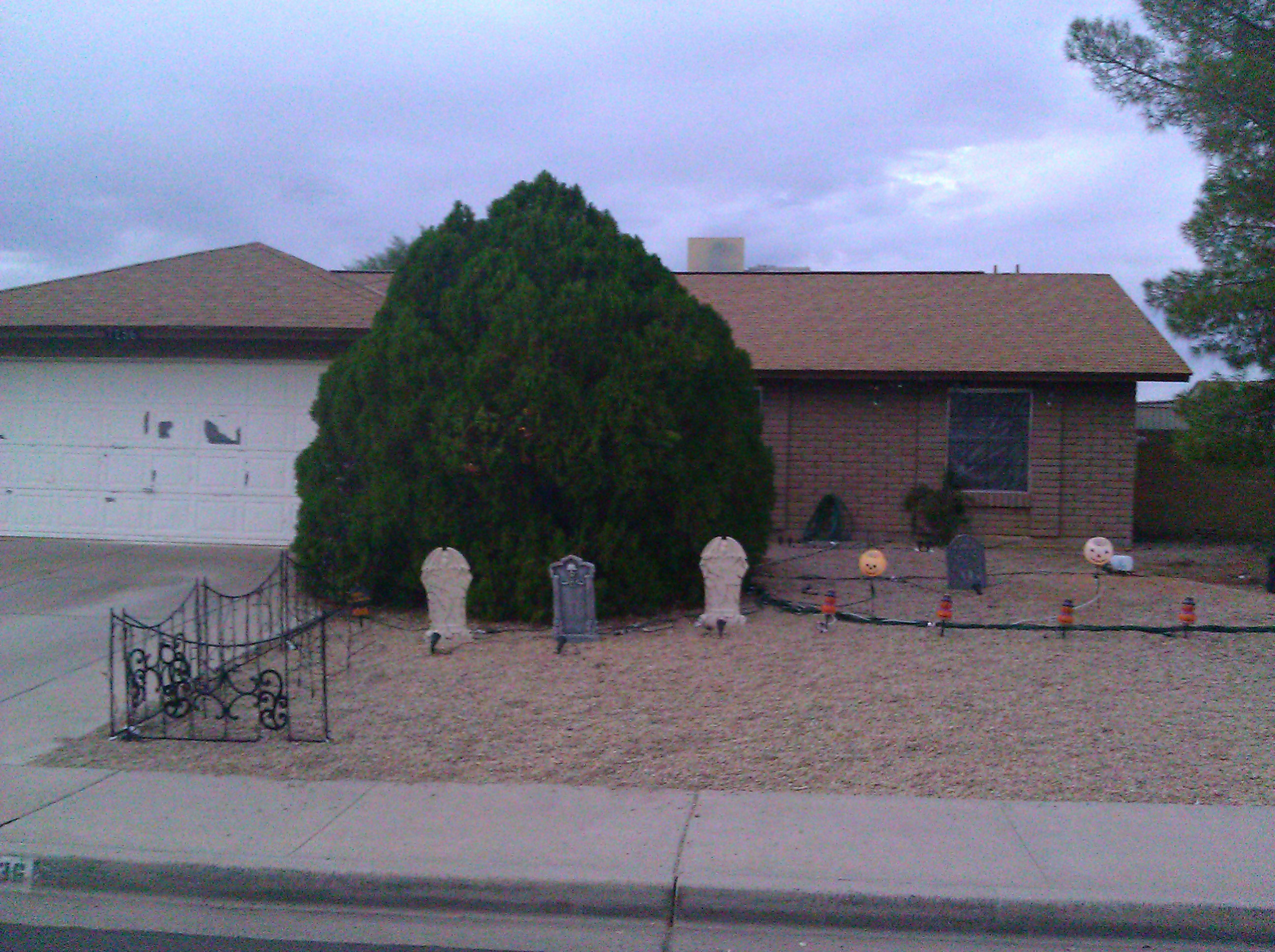 Daylight Left side