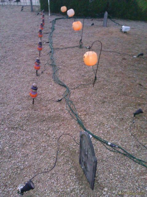 Daylight, pumpkins and electrical cords