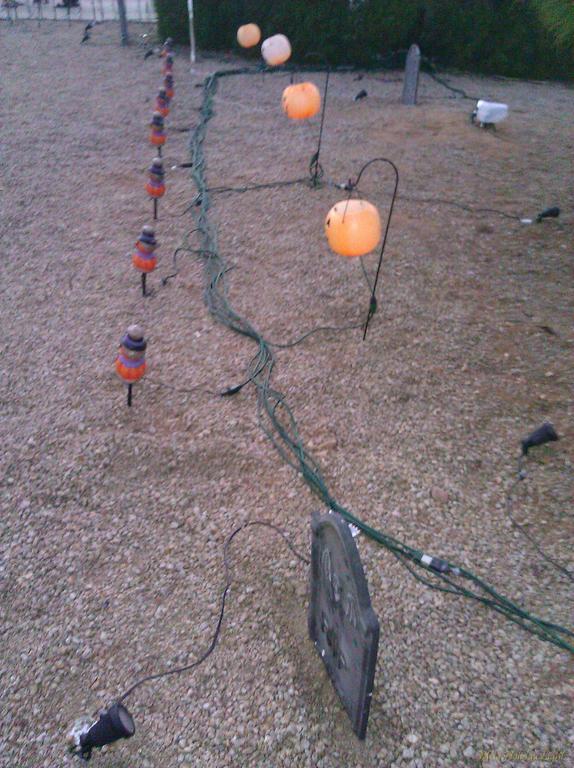 Daylight, pumpkins and electrical cords