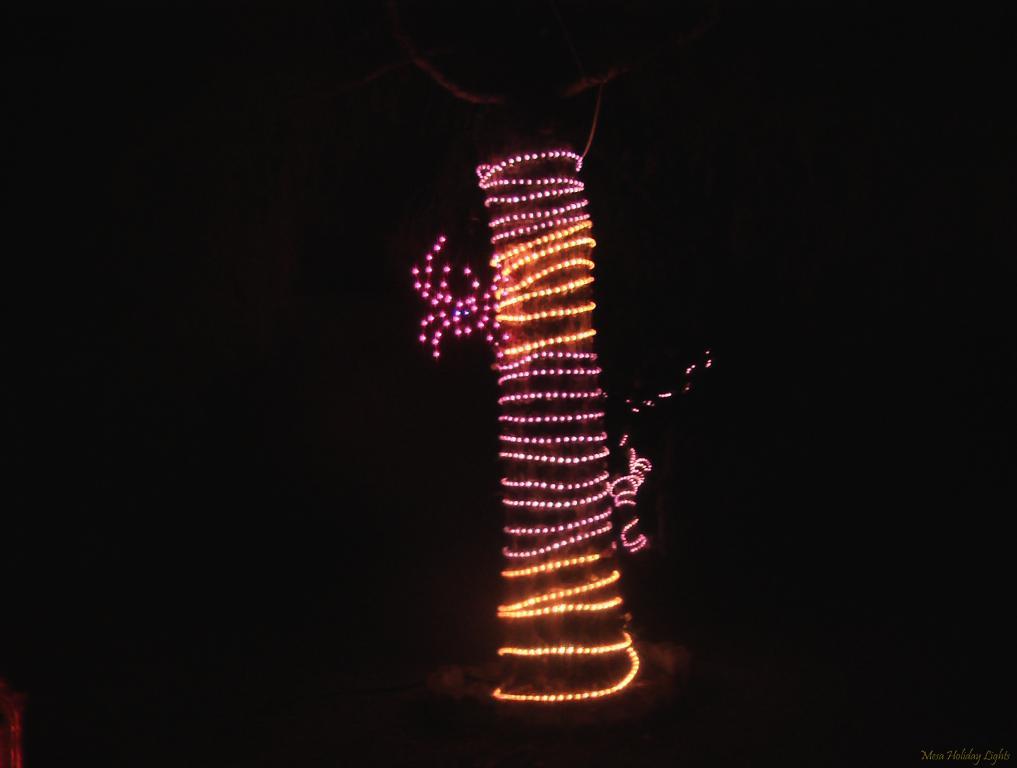 Rope Lights and spider on tree