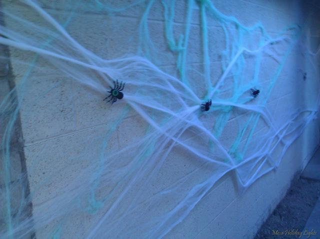 Daylight: Closeup of spiderwebs