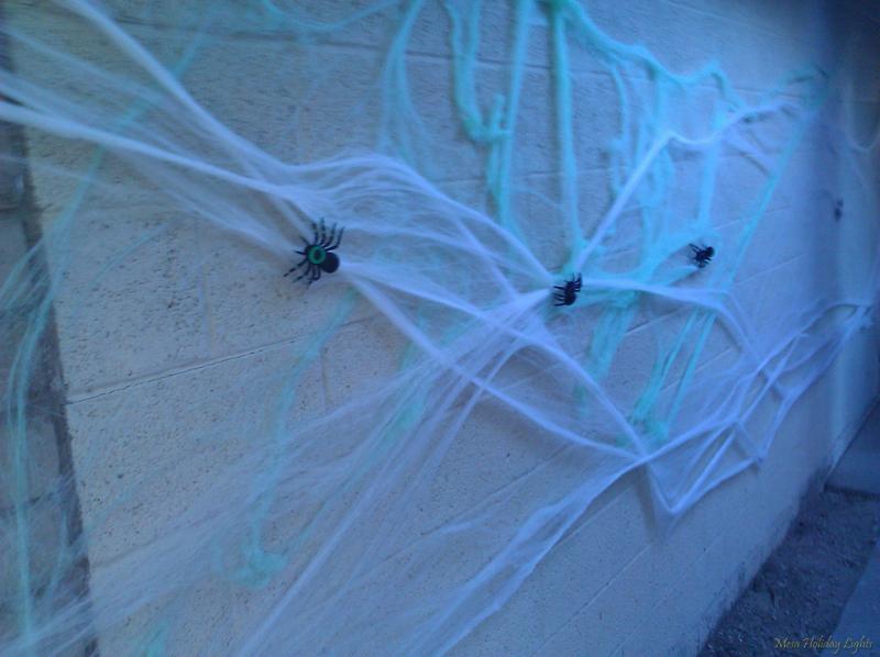 Daylight: Closeup of spiderwebs