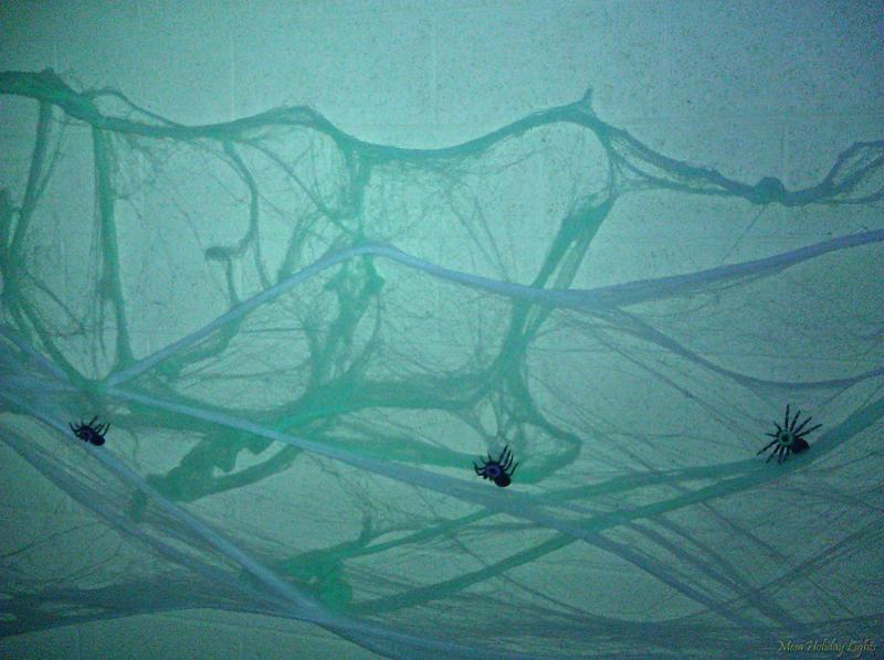 Spiderwebs and spiders