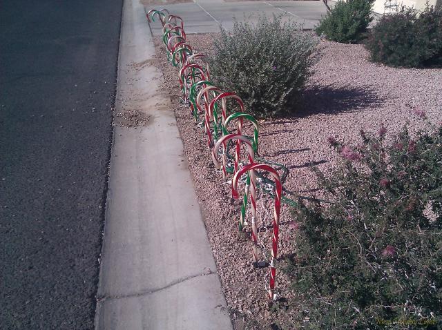 Daytime Candy Canes