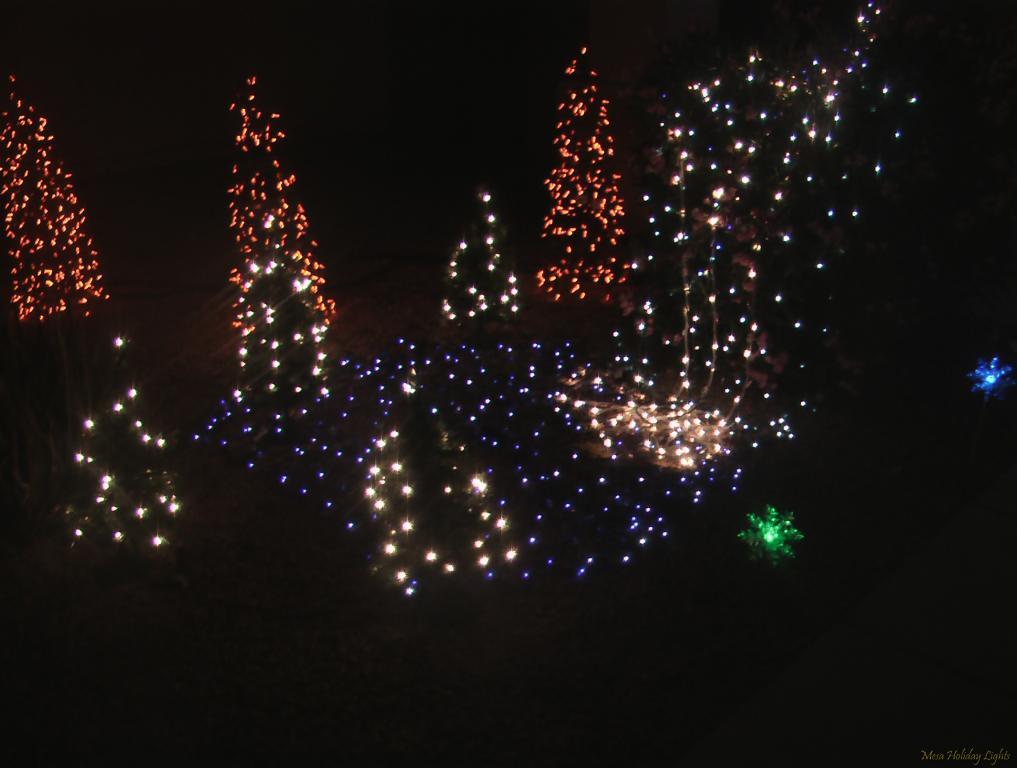 Waterfall pond and trees