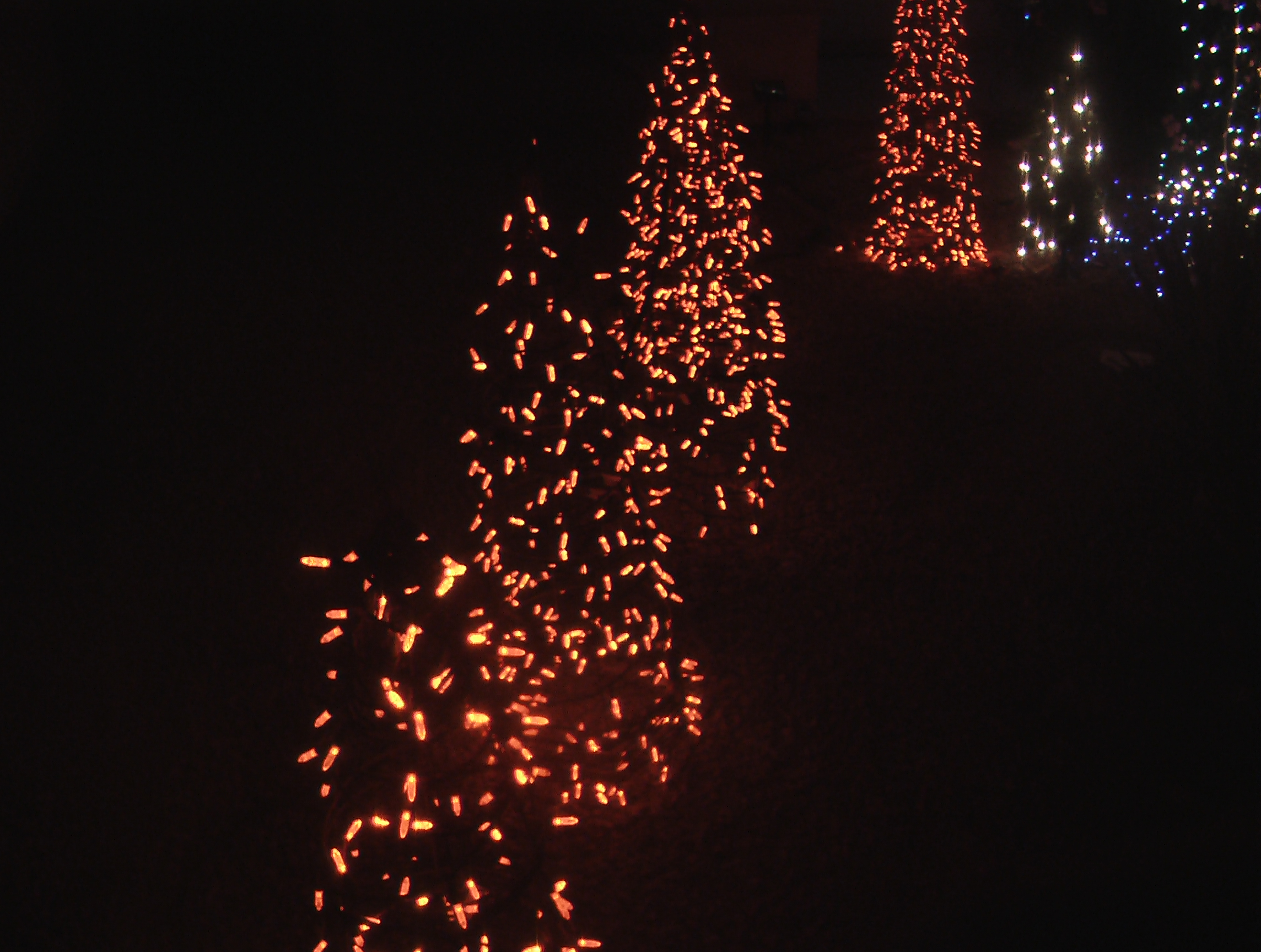 Mini-trees