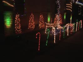 Mini-Trees and Candy Canes