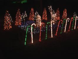 Candy Canes and Mini-Tree forest with deer