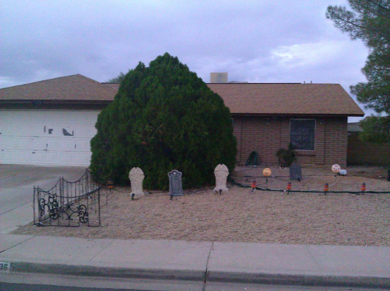Daylight Left side