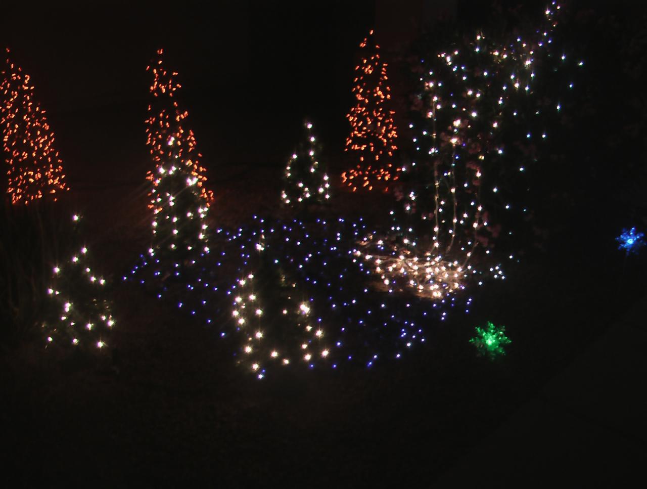 Waterfall pond and trees