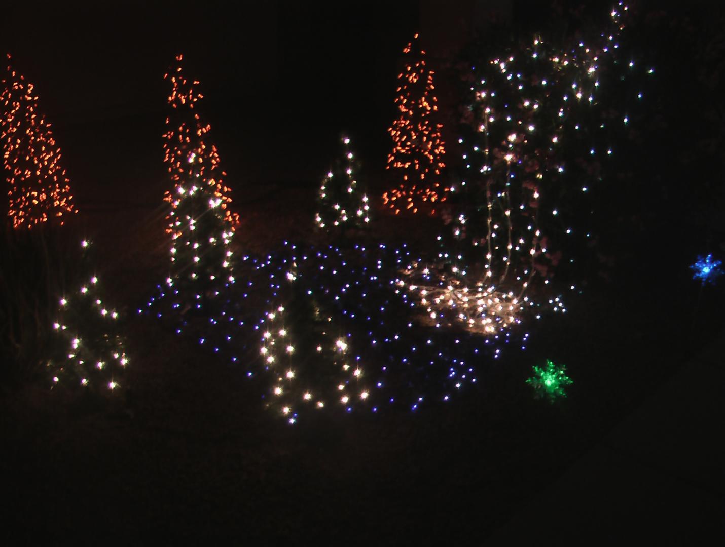 Waterfall pond and trees