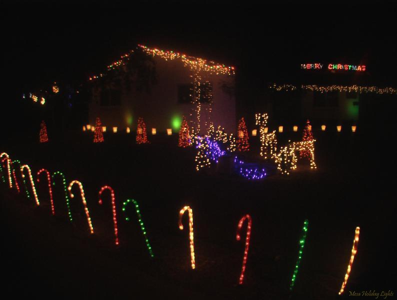 Close-up MiinTrees, Pond, Candy Canes