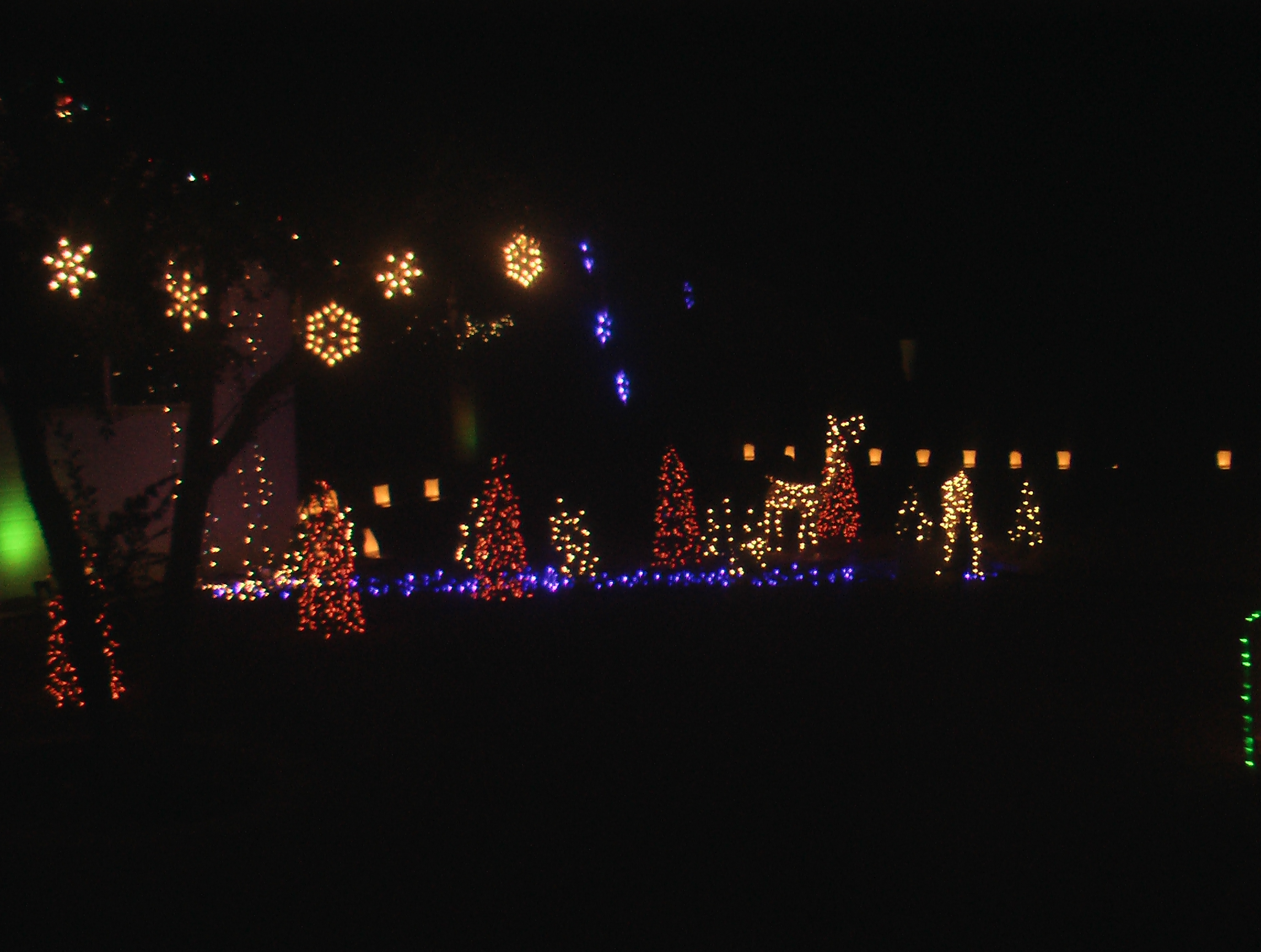 Close-up Snowflakes, Mini-Trees