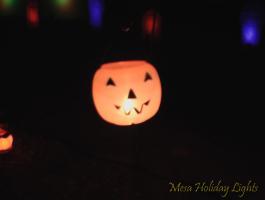 Large Pumkin