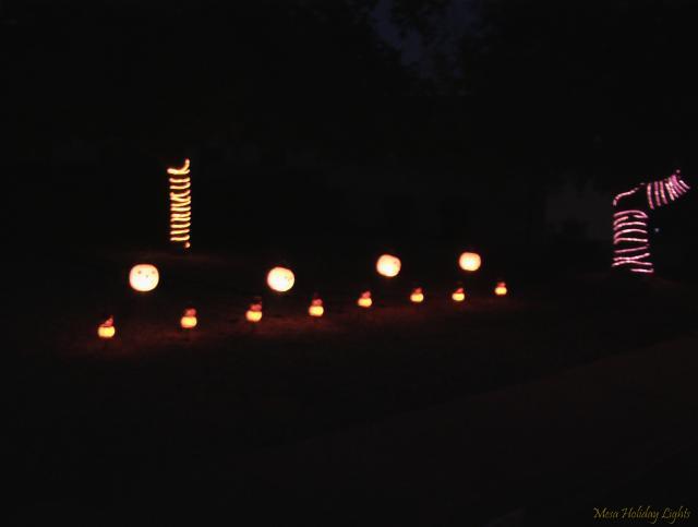 Phase 1: Pumkins and Trees