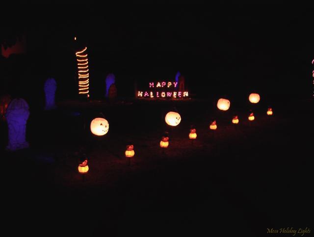 Close up on pumkins
