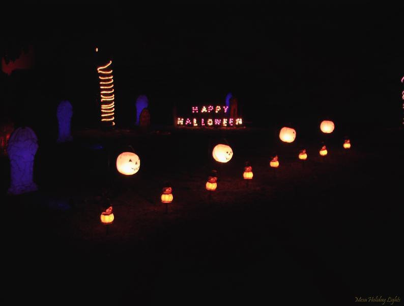 Close up on pumkins